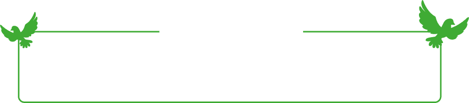 footer border design
